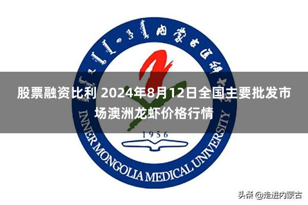 股票融资比利 2024年8月12日全国主要批发市场澳洲龙虾价格行情