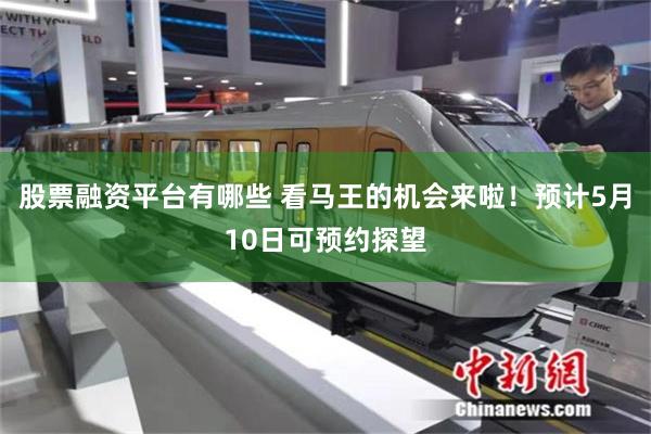 股票融资平台有哪些 看马王的机会来啦！预计5月10日可预约探望