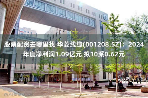 股票配资去哪里找 华菱线缆(001208.SZ)：2024年度净利润1.09亿元 拟10派0.62元