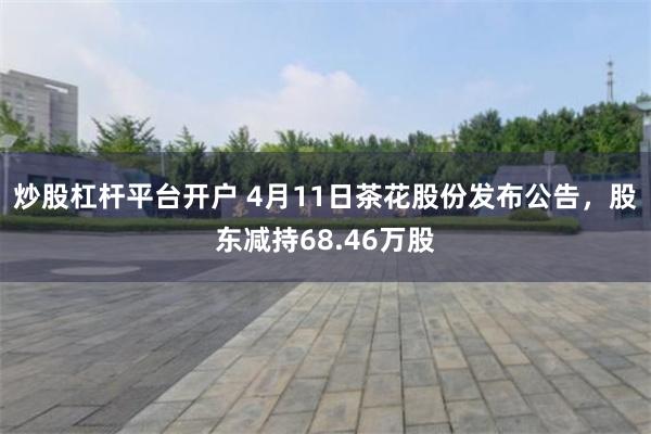 炒股杠杆平台开户 4月11日茶花股份发布公告，股东减持68.46万股