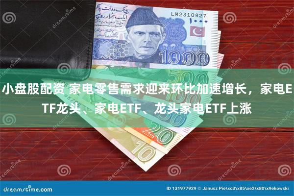 小盘股配资 家电零售需求迎来环比加速增长，家电ETF龙头、家电ETF、龙头家电ETF上涨