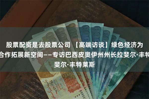 股票配资是去股票公司 【高端访谈】绿色经济为中巴合作拓展新空间——专访巴西皮奥伊州州长拉斐尔·丰特莱斯