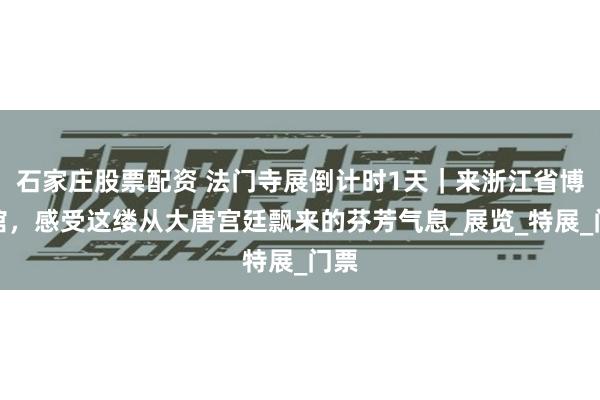 石家庄股票配资 法门寺展倒计时1天｜来浙江省博物馆，感受这缕从大唐宫廷飘来的芬芳气息_展览_特展_门票