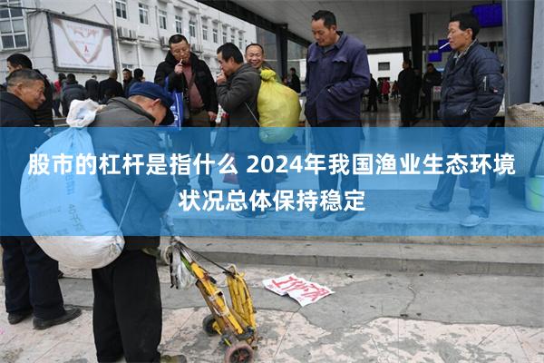 股市的杠杆是指什么 2024年我国渔业生态环境状况总体保持稳定