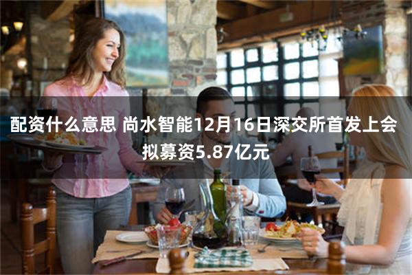 配资什么意思 尚水智能12月16日深交所首发上会 拟募资5.87亿元